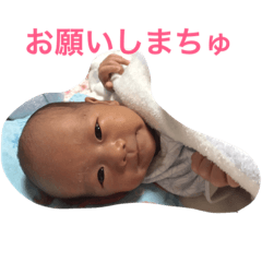 [LINEスタンプ] 赤ちゃんのスタンプ【男の子】