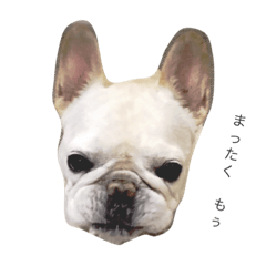 [LINEスタンプ] MR.TP
