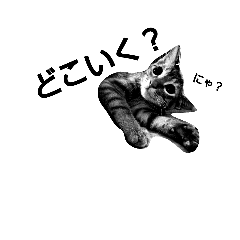 [LINEスタンプ] ねこねこグラブ