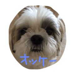 [LINEスタンプ] mokashizu 