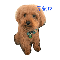 [LINEスタンプ] 柴田さん家.2