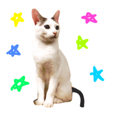[LINEスタンプ] メロ♪とパト♪♪ 