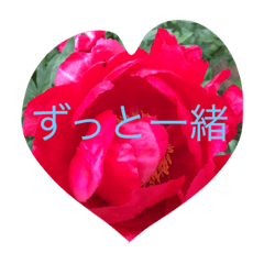 [LINEスタンプ] pleasegiveme your love