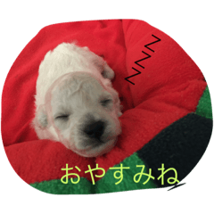 [LINEスタンプ] スタイルワン 