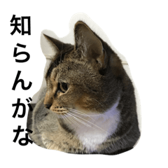 [LINEスタンプ] mentama