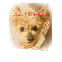 [LINEスタンプ] 丁寧なあいさつ