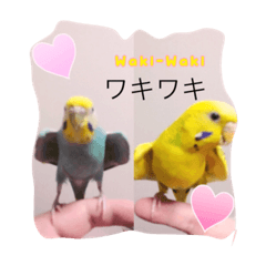 [LINEスタンプ] オレのとり