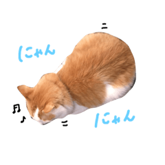 [LINEスタンプ] しふぉんさん