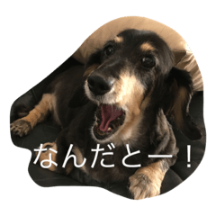 [LINEスタンプ] マローーーン