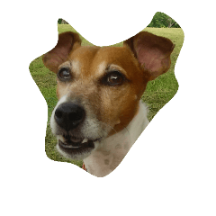 [LINEスタンプ] jrt kota