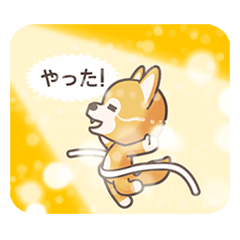 [LINEスタンプ] Zoopublic : daily life