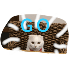 [LINEスタンプ] nyanderful  world