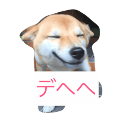 [LINEスタンプ] siba konatsu