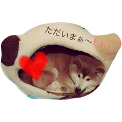 [LINEスタンプ] ちゃむくん