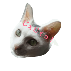 [LINEスタンプ] さわそら