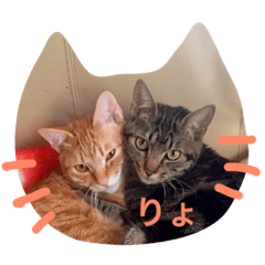 [LINEスタンプ] yokoy's family