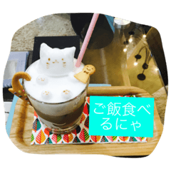 [LINEスタンプ] ねこ色々