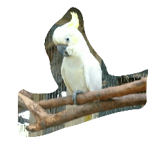 [LINEスタンプ] animal*lalala