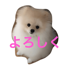 [LINEスタンプ] しじみさん♡