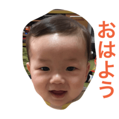 [LINEスタンプ] せりちゃん