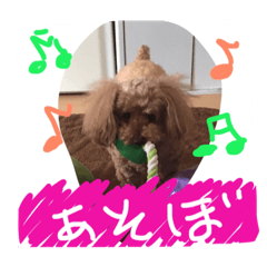 [LINEスタンプ] 愛娘犬ぷぅ