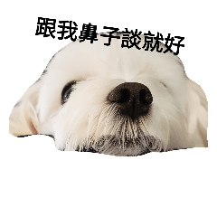 [LINEスタンプ] QQ has sth to say.