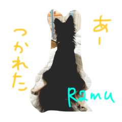 [LINEスタンプ] しーちゃんちのわんこ