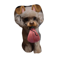 [LINEスタンプ] モカモカモカモカモカモカ