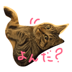 [LINEスタンプ] 我が家の王様しーちゃん