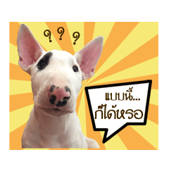 [LINEスタンプ] KhunGruak 