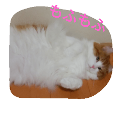 [LINEスタンプ] jeankun 2
