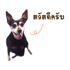 [LINEスタンプ] Garfill