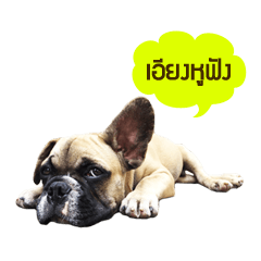 [LINEスタンプ] Mumui Family