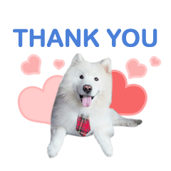 [LINEスタンプ] MORGAN THE SAMOYED