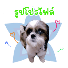 [LINEスタンプ] mumei
