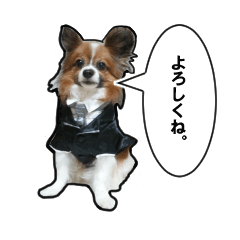 [LINEスタンプ] じゃじゃまる その1
