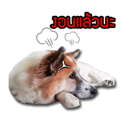 [LINEスタンプ] BOUNS ＆ BAIBUA