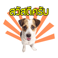 [LINEスタンプ] Meedadar