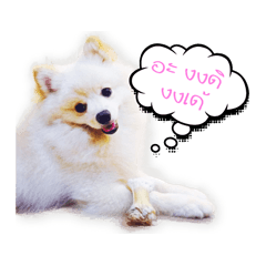 [LINEスタンプ] Nobii Dog
