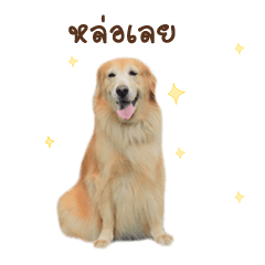 [LINEスタンプ] Focus..na..hug