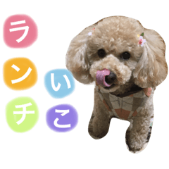 [LINEスタンプ] かわいいかわいいマロン♪