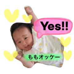 [LINEスタンプ] ももちゃんの毎日使える日常スタンプ