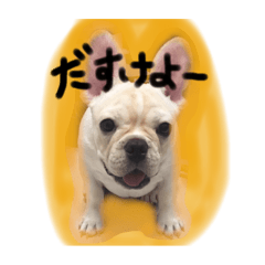 [LINEスタンプ] フレブルのこてっつぁん
