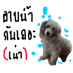 [LINEスタンプ] THONGYOT AND FRIENDS.