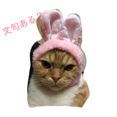 [LINEスタンプ] そら＆りく