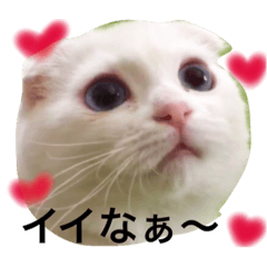 [LINEスタンプ] スコランド2
