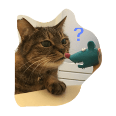 [LINEスタンプ] にゃんちゅうさん