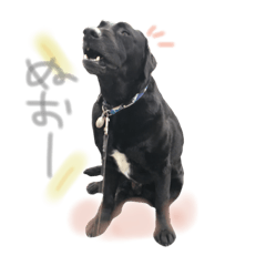 [LINEスタンプ] おれ様 最強( *｀ω´)