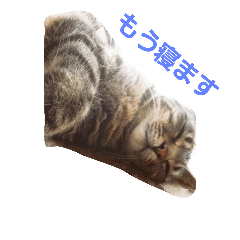 [LINEスタンプ] 我が家のカーロ