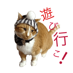 [LINEスタンプ] かつおぶし便り
